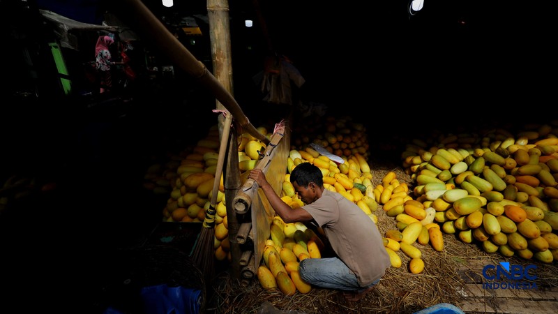 Pedagang timun suri di Pasar Induk Kramat Jati, Jakarta Timur ramai dikunjungi pembeli saat Ramadan, Jumat (27/2/2026). (CNBC Indonesia/Tri Susilo)