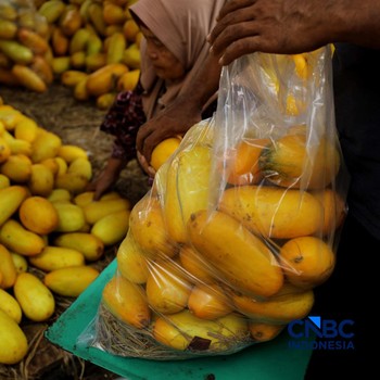 Berkah Ramadan! Pedagang Timun Suri di Kramat Jati Kipas-Kipas Duit