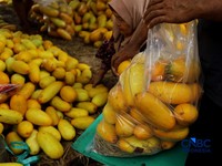 Berkah Ramadan! Pedagang Timun Suri di Kramat Jati Kipas-Kipas Duit