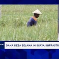 Video: Wamendes PDT: Hadir di Desa, MBG Dorong Produktivitas Petani