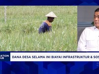Video: Wamendes PDT: Hadir di Desa, MBG Dorong Produktivitas Petani