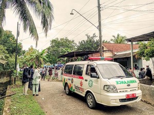 Pak Masinis Tewas Diserang Kawanan Tawon Vespa