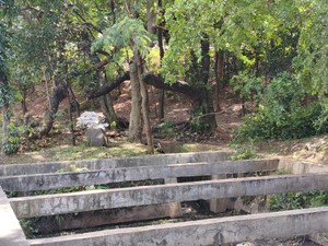 Petugas Sempat Ciduk 4 Pria di Taman Kota Cawang Diduga Jadi Sarang Asusila