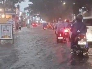 2.500 Batang Cabai Ambruk Diterjang Puting Beliung di Banyuwangi