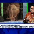 Video: Harga Daging Australia Melonjak, Daging India Jadi Alternatif