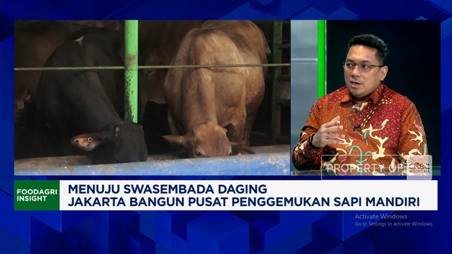 Video: Harga Daging Australia Melonjak, Daging India Jadi Alternatif