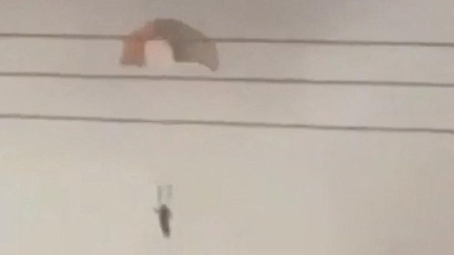 A burning aircraft falls from the sky in Al Jahra, Kuwait, in this still image obtained from social media video released on March 2, 2026. Social Media/via REUTERS  THIS IMAGE HAS BEEN SUPPLIED BY A THIRD PARTY. NO RESALES. NO ARCHIVES. NEWS USE ONLY. TPX IMAGES OF THE DAY.  VERIFICATION: Reuters confirmed the location as Al Jahra, Kuwait, from the road layout, buildings, electric towers and light posts, which matched satellite imagery. Coordinates: 29.337325, 47.648209 + 29.313204127056398, 47.57812678200832. The date when the videos were filmed was not verified but no earlier versions of the videos were found posted online before March 2.  Kuwait Ministry of Defense also said a number of US planes fell and pilots were safe on March 2.