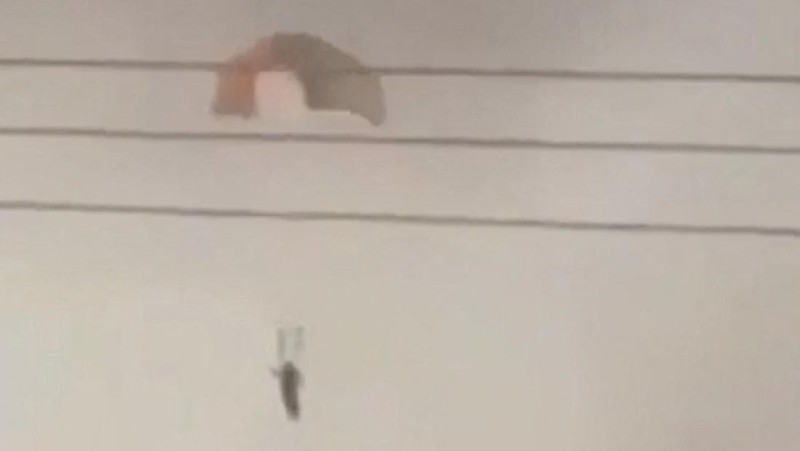 A burning aircraft falls from the sky in Al Jahra, Kuwait, in this still image obtained from social media video released on March 2, 2026. Social Media/via REUTERS  THIS IMAGE HAS BEEN SUPPLIED BY A THIRD PARTY. NO RESALES. NO ARCHIVES. NEWS USE ONLY. TPX IMAGES OF THE DAY.  VERIFICATION: Reuters confirmed the location as Al Jahra, Kuwait, from the road layout, buildings, electric towers and light posts, which matched satellite imagery. Coordinates: 29.337325, 47.648209 + 29.313204127056398, 47.57812678200832. The date when the videos were filmed was not verified but no earlier versions of the videos were found posted online before March 2.  Kuwait Ministry of Defense also said a number of US planes fell and pilots were safe on March 2.