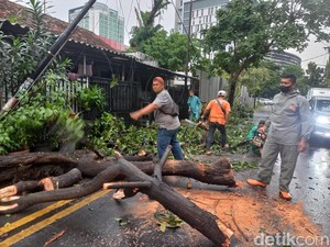 Dampak Hujan Badai di Surabaya: 57 Pohon Tumbang, 1 Pekerja Tewas