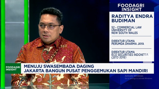 Video: Mau Swasembada Daging, Jakarta Bangun Penggemukan Sapi Mandiri