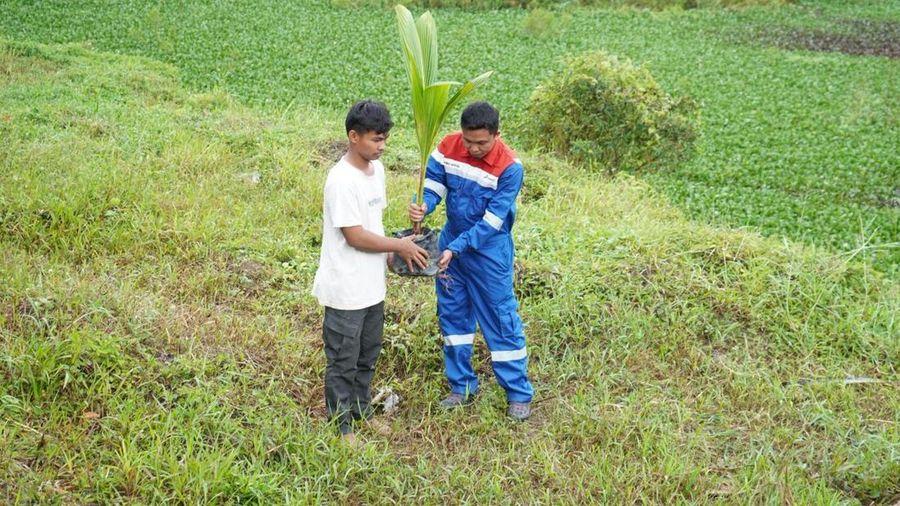 Pertamina bantu pulihkan lahan bekas tambang di Palembang