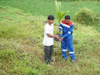 Pertamina Hadirkan TJSL, Pulihkan Lahan Bekas Tambang di Palembang