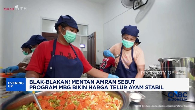 Video: Mentan Amran Sebut Program MBG Bikin Harga Telur Ayam Stabil