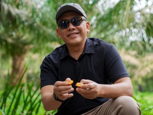 Laba Unaudited Tembus Rp 6 T, Ini Langkah PalmCo Capai Kinerja Memuaskan