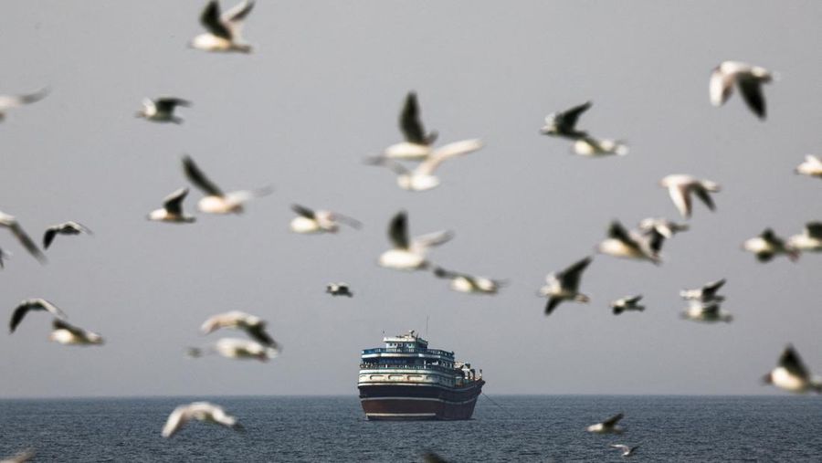 Burung-burung terbang di dekat sebuah perahu di Selat Hormuz di tengah konflik AS-Israel dengan Iran, seperti terlihat dari Musandam, Oman, 2 Maret 2026. REUTERS/Amr Alfiky
