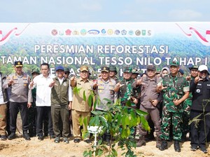 Hijaukan Kembali TNTN, 2 Ribu Pohon Ditanam demi Pulihkan Jantung Riau
