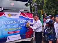 Amran Lepas Ekspor Produk Unggas Rp 18,2 Miliar ke 3 Negara Ini
