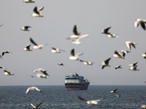 Video Krusialnya Selat Hormuz: Kalau Terus Panas, Harga Minyak Bisa Ngegas