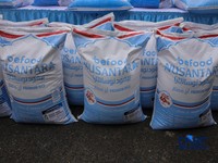Pelepasan ekspor Beras Befood Nusantara untuk kebutuhan jemaah haji Indonesia di Gudang BULOG Kanwil DKI Jakarta & Banten, Kelapa Gading, Jakarta Utara, Rabu (4/6/2026). (CNBC Indonesia/Faisal Rahman)