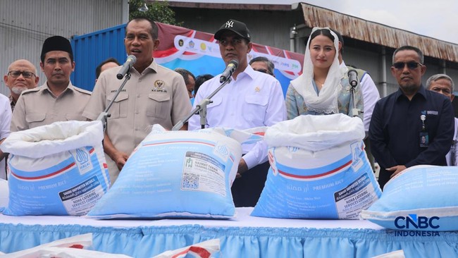 Tak Lewat Selat Hormuz, Ini Rute Ekspor Beras RI ke Arab Saudi