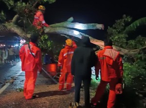 17 Bangun Rusak dan 25 Pohon Tumbang di Pasuruan Disapu Angin Kencang