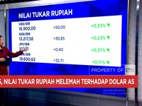 Video: Rupiah Ambruk Lawan Dolar AS, Melemah ke Rp 16.900