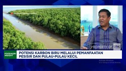 Video: Rehabilitasi Mengrove Gak Pakai APBN, KKP Ajak Swasta & BUMN