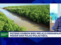 Video: Rehabilitasi Mengrove Gak Pakai APBN, KKP Ajak Swasta & BUMN