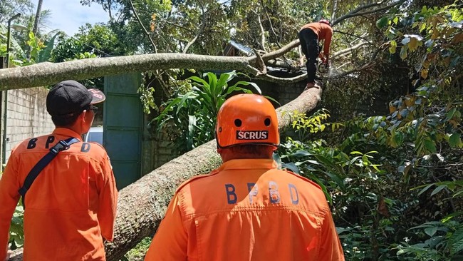 BMKG: Awas Hujan Lebat-Angin Kencang Landa Jawa, Bali, NTB-NTT Besok