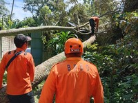 BMKG: Awas Hujan Lebat-Angin Kencang Landa Jawa, Bali, NTB-NTT Besok
