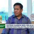 Video: Rehabilitasi Mangrove: Pulihkan Ekosistem & Ekonomi Pesisir
