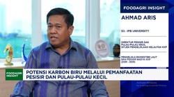 Video: Rehabilitasi Mangrove: Pulihkan Ekosistem & Ekonomi Pesisir