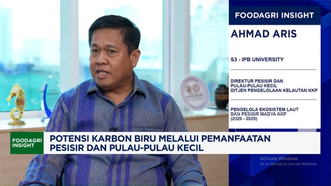 Video: Rehabilitasi Mangrove: Pulihkan Ekosistem dan Ekonomi Pesisir