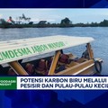 Video:Sukses Rehabilitasi Mangrove, KKP Ungkap Keberhasilan Pulau Lusi