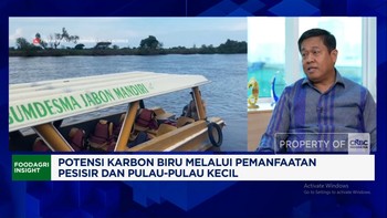 Video:Sukses Rehabilitasi Mangrove, KKP Ungkap Keberhasilan Pulau Lusi