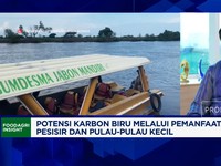 Video:Sukses Rehabilitasi Mangrove, KKP Ungkap Keberhasilan Pulau Lusi