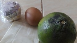 Sederet Dapur MBG di Kalimantan Ditutup: Menu Tak Layak-Sengketa Lahan