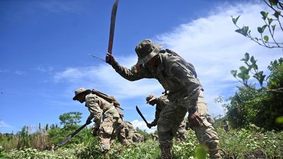 Bolivia Musnahkan Tanaman Koka Ilegal, Kerja Sama dengan DEA Kembali Dibuka