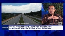 Video: Keunggulan RI Bersaing Gaet Investasi: Punya SDA - Pasar Lokal
