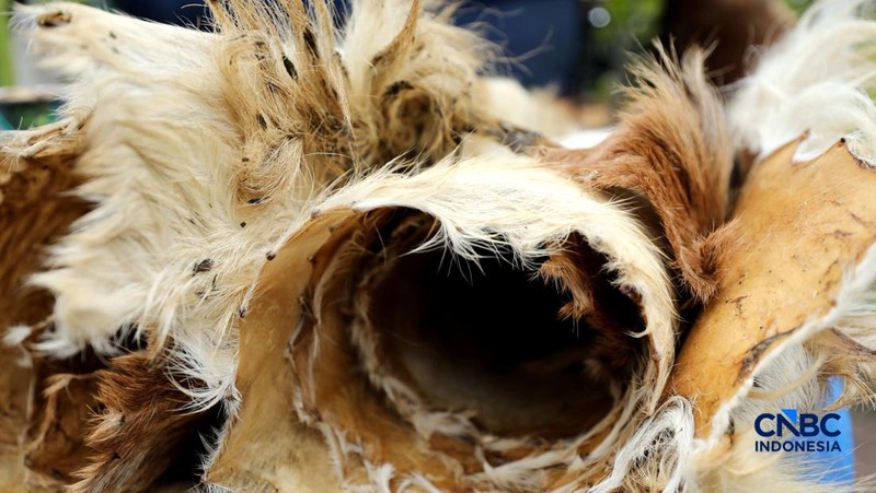 Pekerja menyelesaikan pembuatan bedug di sepanjang Jalan KH Mas Mansyur, Tanah Abang. (CNBC Indonesia/Tri Susilo)