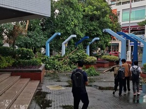 Puting Beliung Terjang Siwalankerto, Pohon di Kampus Petra Tumbang