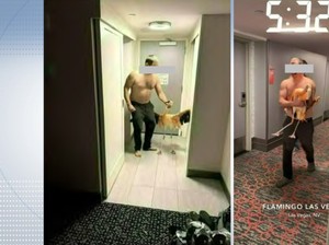 Turis yang Culik Flamingo ke Kamar Hotel Itu Ternyata Tenggak 40 Kaleng Bir