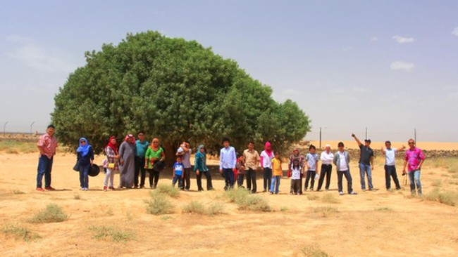 Ternyata Ada "Sahabat" Nabi Muhammad yang Masih Hidup, Siapa?