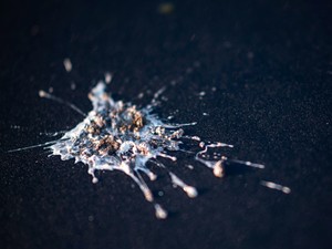 Kerajaan Kuno Ini Makmur Pada Masanya Berkat Kotoran Burung