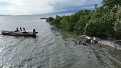 Bangkai Paus Sperma Raksasa Terdampar di Pantai Kolaka Akhirnya Dievakuasi