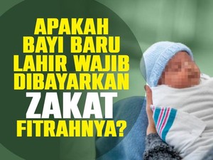 Hukum Zakat Bagi Bayi