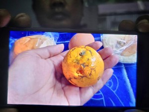 Viral Temuan Jeruk Berbelatung di Paket MBG Sukabumi