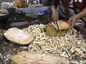 GKR Bendara Ungkap Jogja Kekurangan Gori Bahan Gudeg