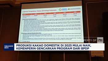 Video: Produksi Kakao Domestik Mulai Naik, Gencarkan Program dari BPDP