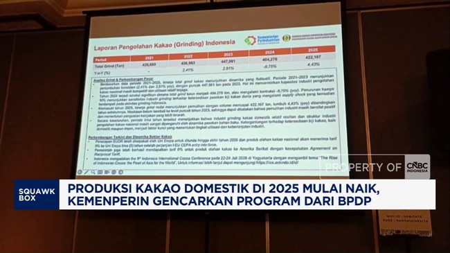 Video: Produksi Kakao Domestik Mulai Naik, Gencarkan Program dari BPDP